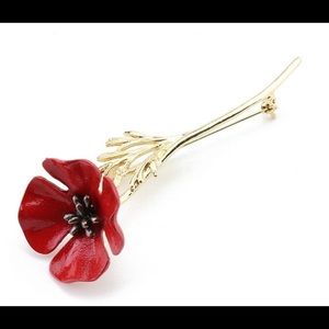 Lapel Pin